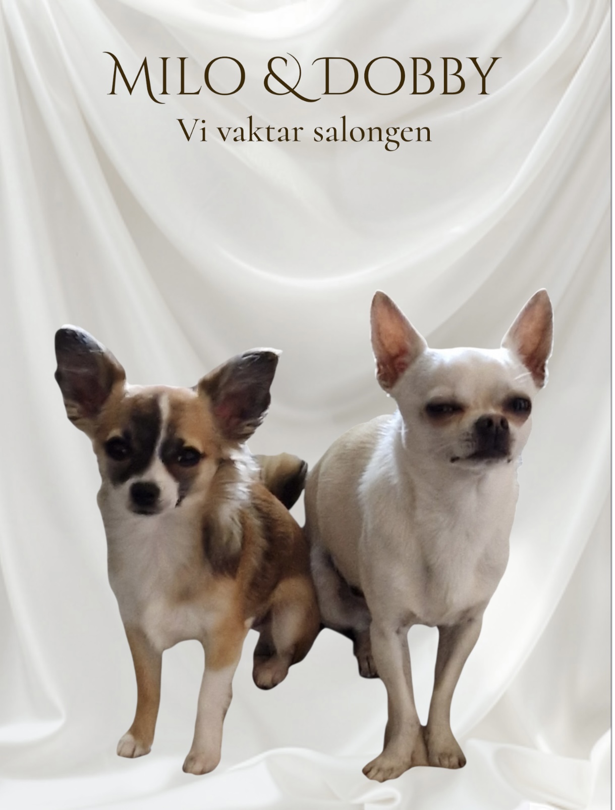Milo & Dobby